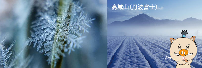 season4_冬